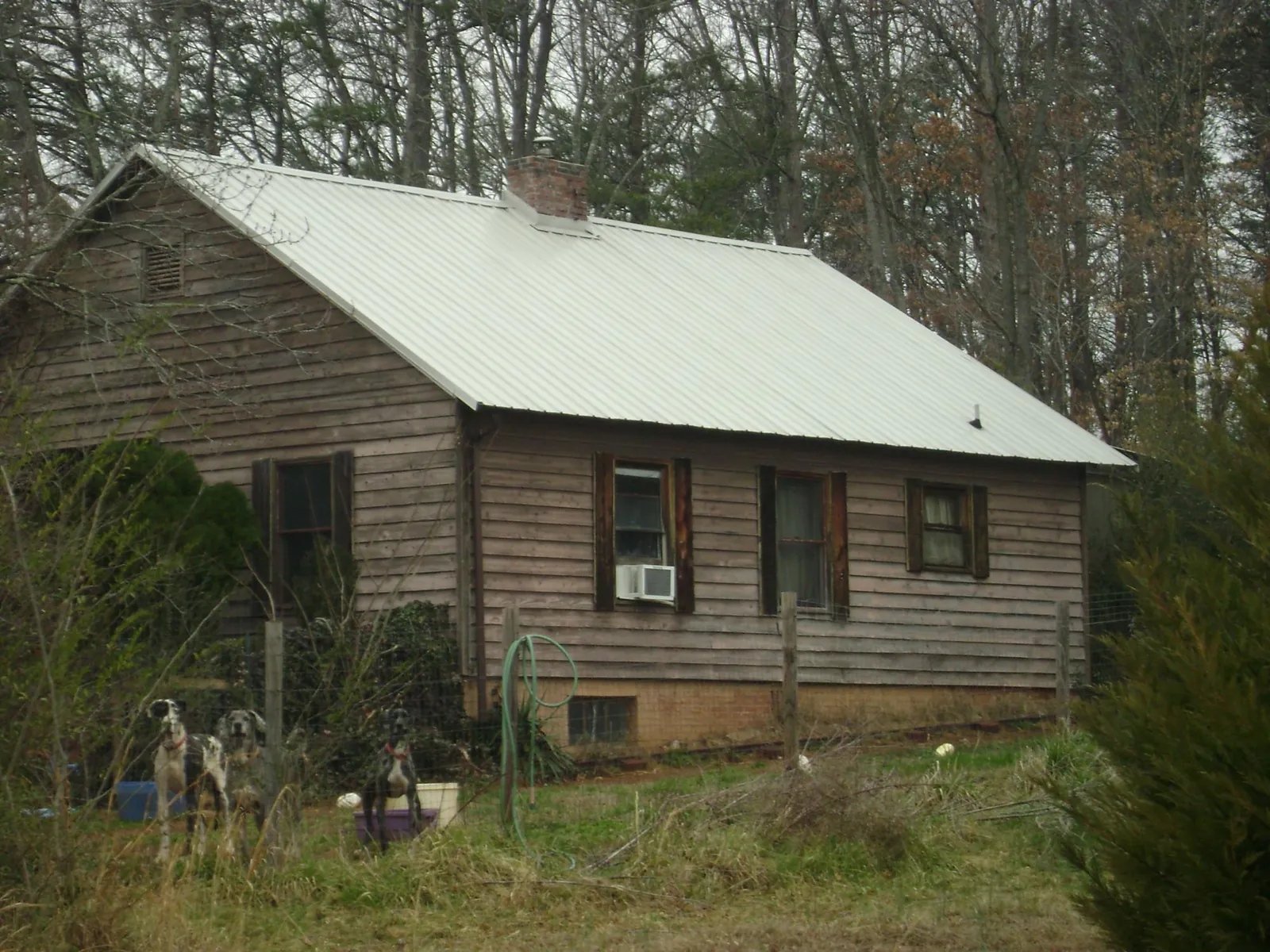 White metal roof on an old wood sided farmhouse in Lexington